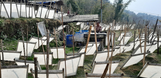 फूलपाते डाँडामा हाते कागज उद्योग